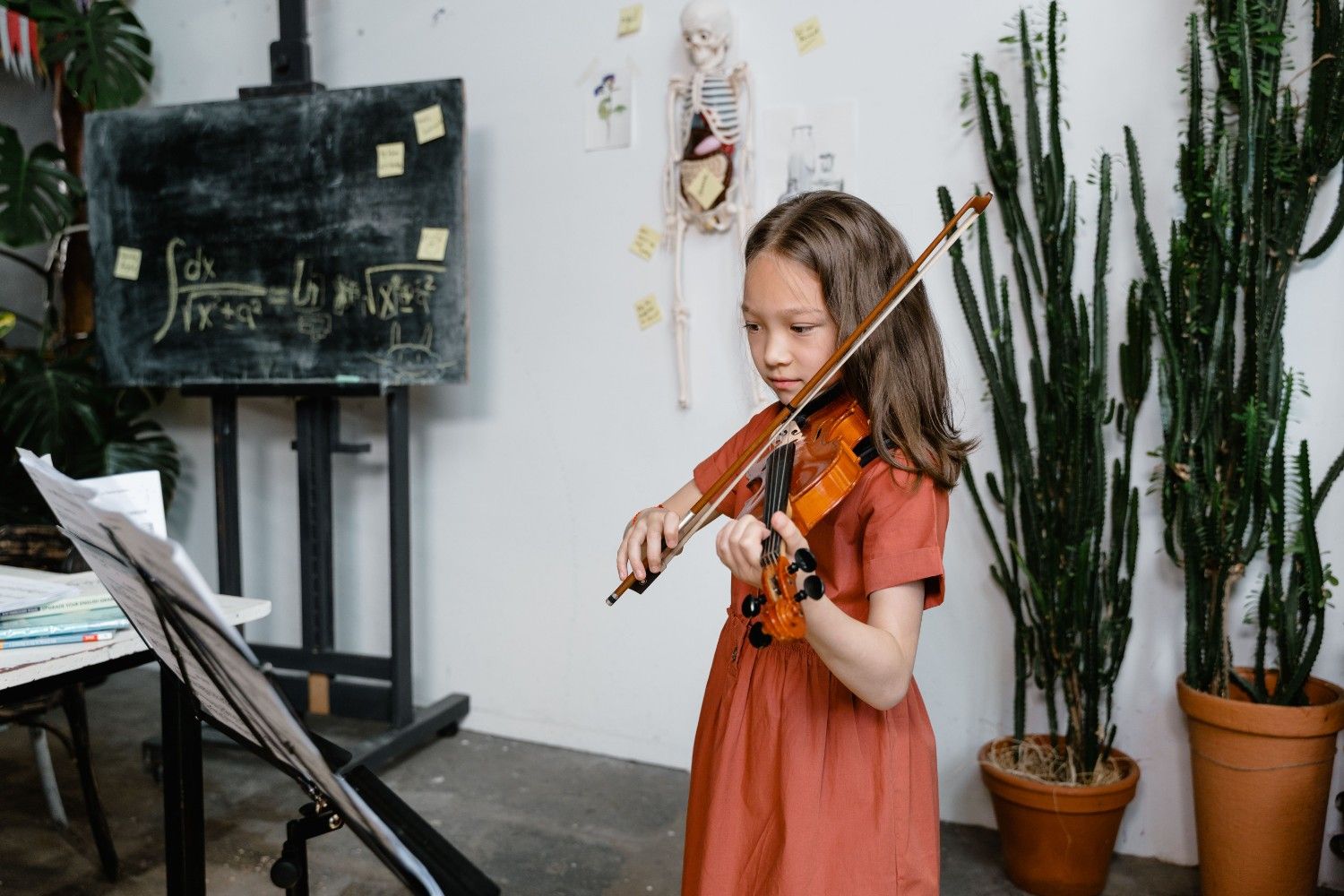 Violin Training
